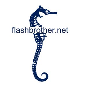 Flashbrother.net - Web + Technical Services, Consulting